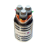YJLHS、YJLHV22、YJLHV 8.7/15KV 中壓稀土高鐵鋁合金電纜
